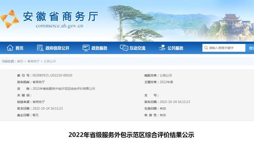 安徽公示2022年省級服務外包示范區(qū)綜合評價結果 軟件開發(fā)領域表現突出